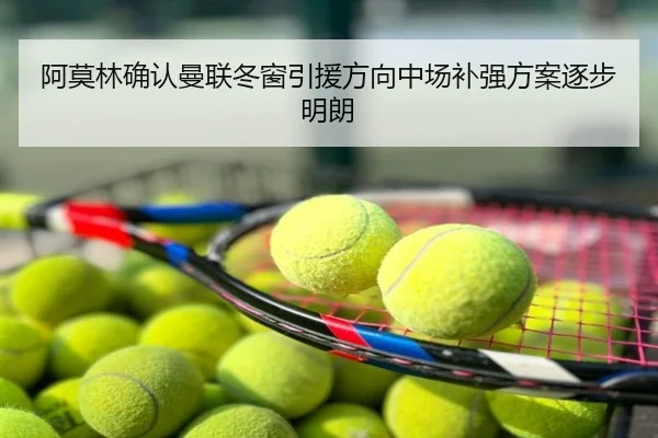阿莫林确认曼联冬窗引援方向中场补强方案逐步明朗