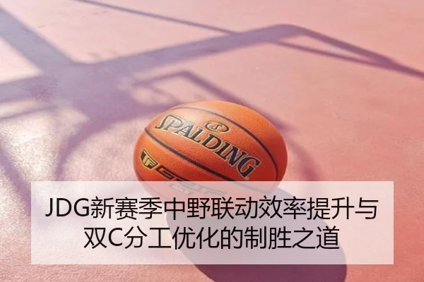 JDG新赛季中野联动效率提升与双C分工优化的制胜之道